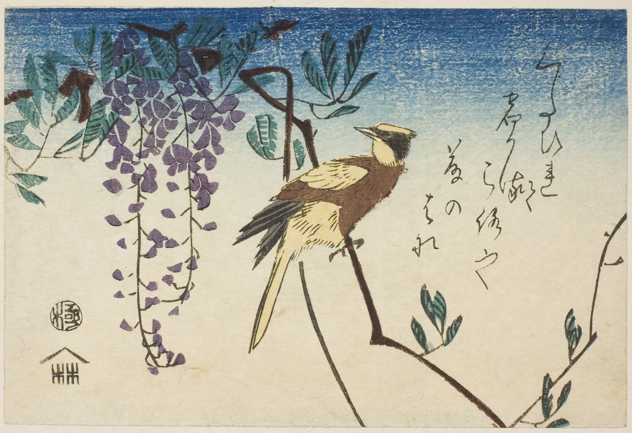 Schwarzgenickpirol und Glyzinie von Utagawa Hiroshige