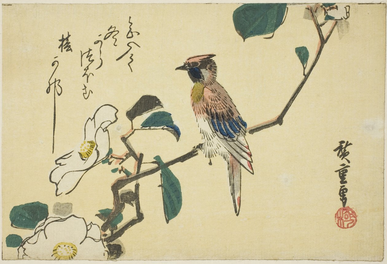 Schwarzgenickter Pirol auf Kamelienzweig von Utagawa Hiroshige
