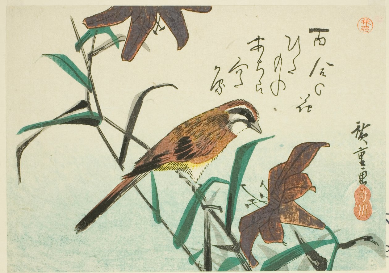Ammer und Lilien von Utagawa Hiroshige