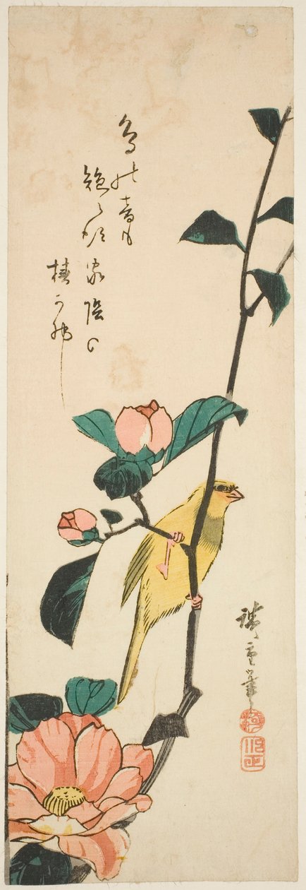 Kanarienvogel und Kamelien von Utagawa Hiroshige
