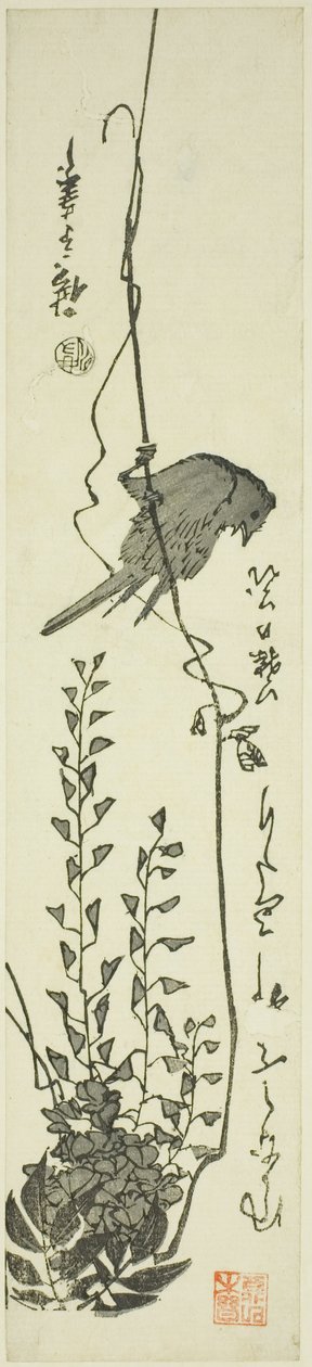 Kanarienvogel und Glyzinie von Utagawa Hiroshige