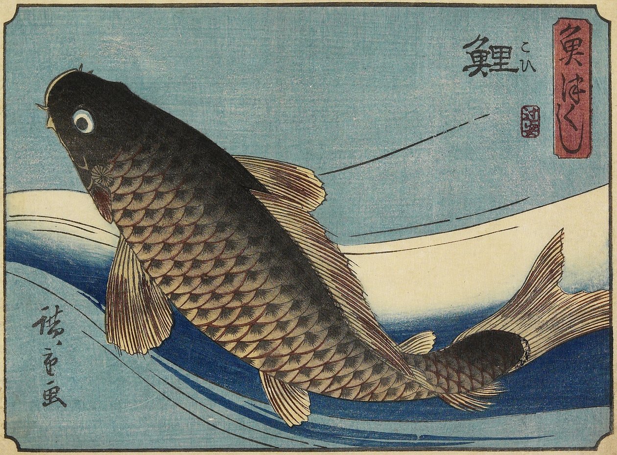 Karpfen, 1830-1844 von Utagawa Hiroshige