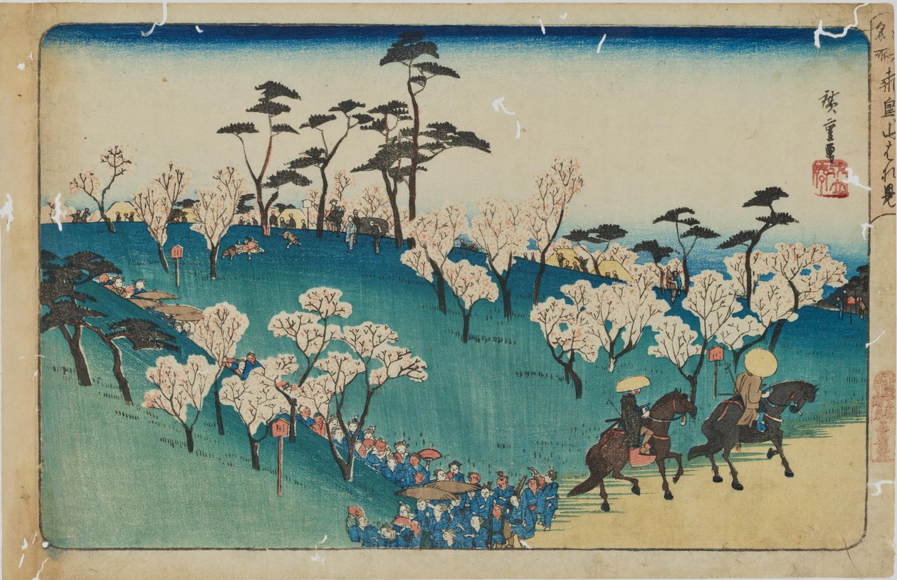 „Kirschblütenbesichtigung am Asuka-Hügel“ aus der Serie "Berühmte Orte von Edo" von Utagawa Hiroshige