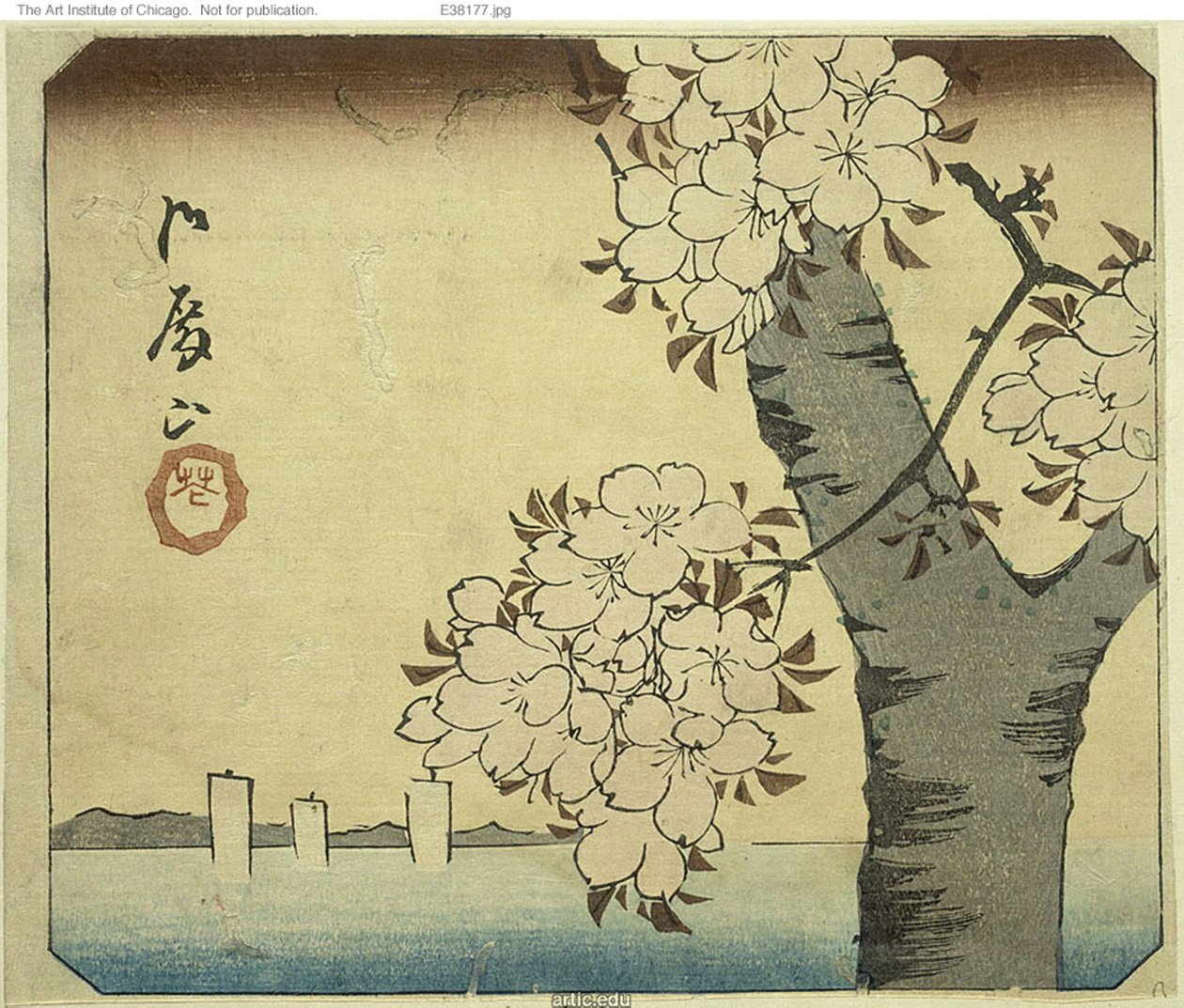 Blumen am Goten-Hügel (Gotenyama, hana), Abschnitt eines Blattes aus der Serie "Ausschnitte berühmter Orte in Edo (Harimaze Koto meisho)" von Utagawa Hiroshige
