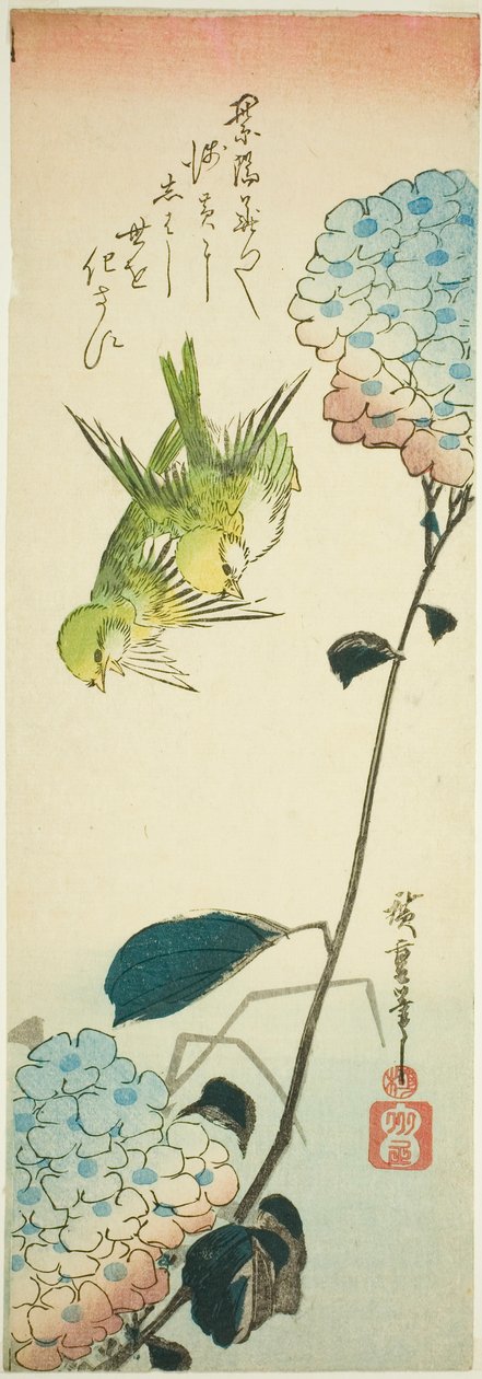 Grüne Vögel und Hortensien von Utagawa Hiroshige
