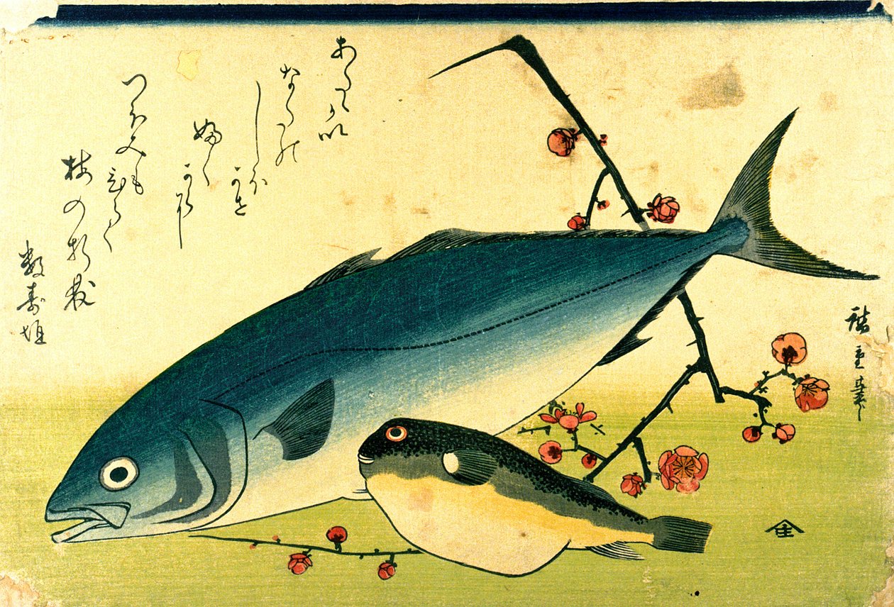 Hiroshige Ein Schwarm Fische Fugu Gelbschwanz von Utagawa Hiroshige
