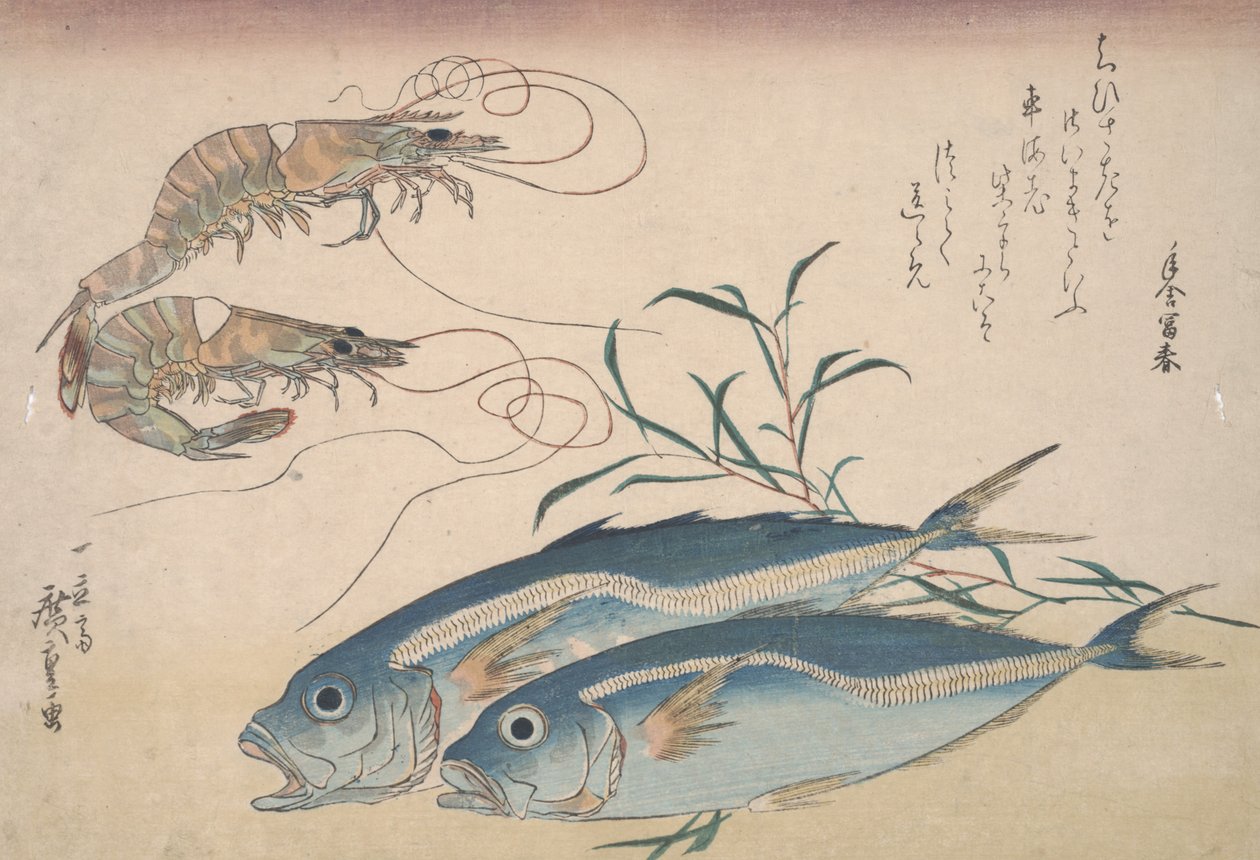Pferdemakrele, Süßwassergarnelen und Seetang, ca. 1832 von Utagawa Hiroshige