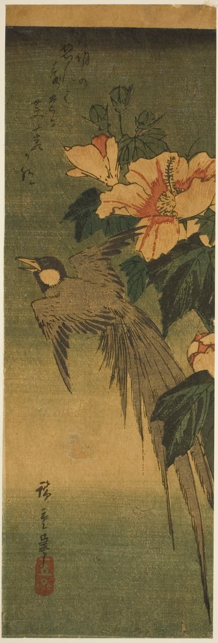 Langschwanzvogel und Hibiskus von Utagawa Hiroshige