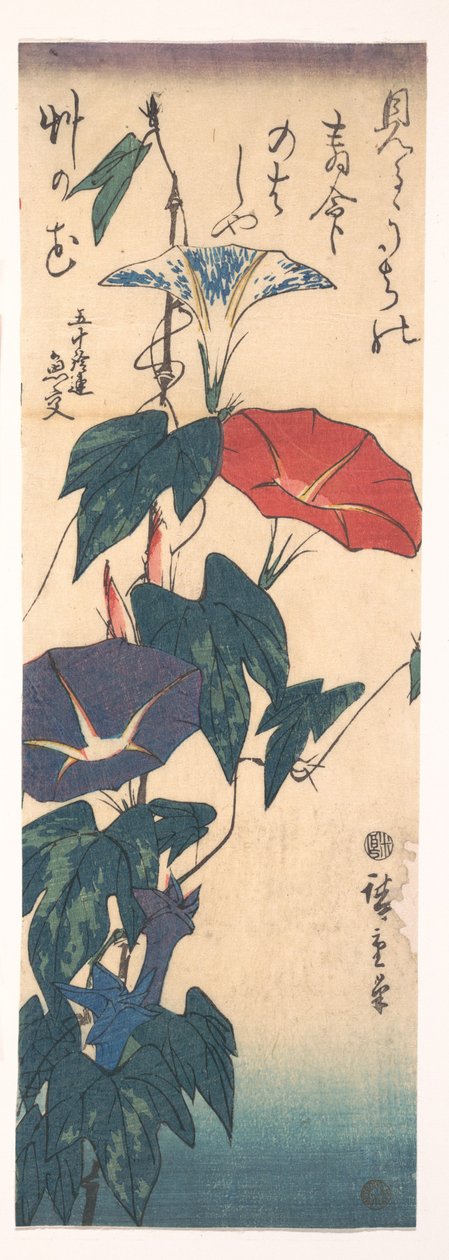 Prunkwinden von Utagawa Hiroshige