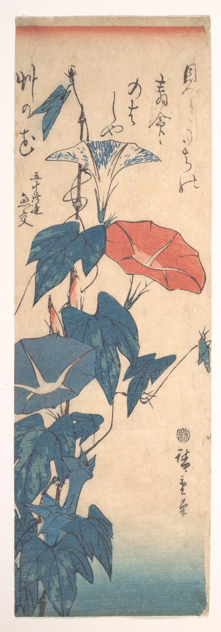 Prunkwinden von Utagawa Hiroshige