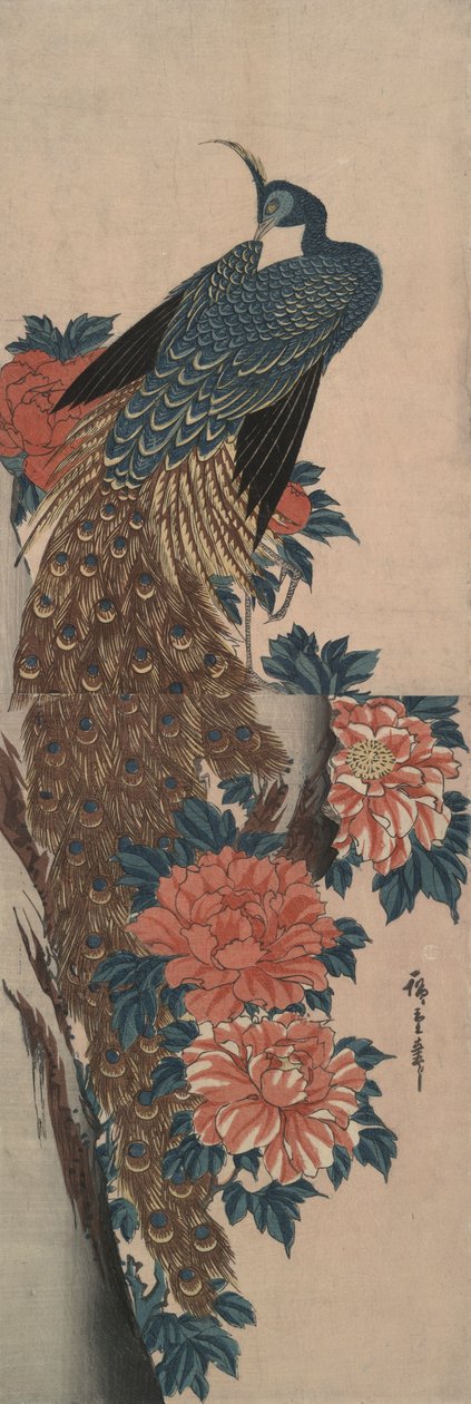Pfau und Pfingstrosen von Utagawa Hiroshige