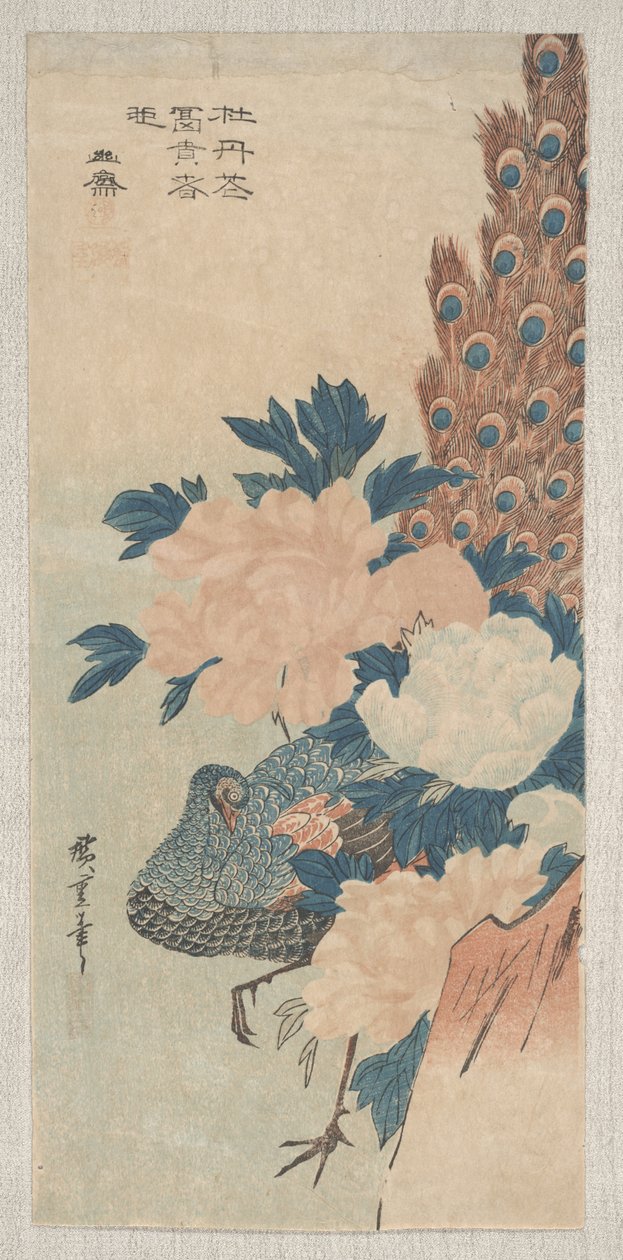 Pfau und Pfingstrosen, ca. 1830 von Utagawa Hiroshige
