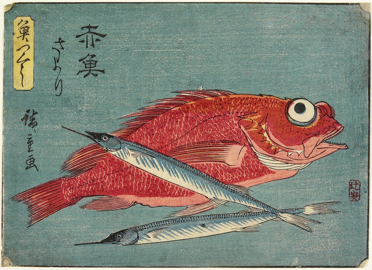 Roter Schnapper und Halbschnabel, 1830-1844 von Utagawa Hiroshige