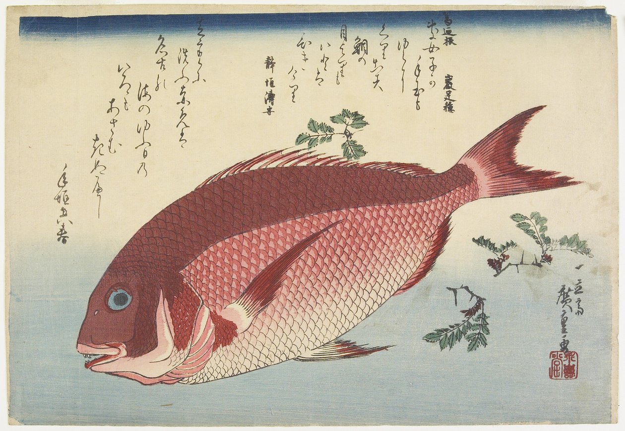 Meerbrasse und Sansho-Zweige, ca. 1832 von Utagawa Hiroshige