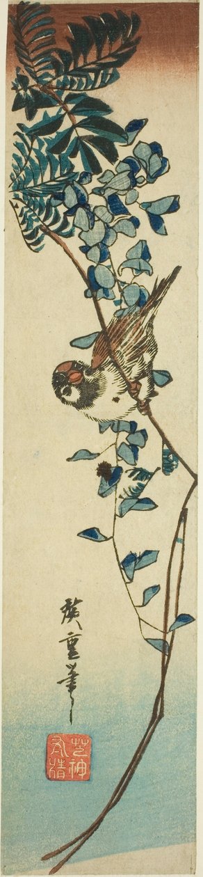 Spatz und Glyzinie von Utagawa Hiroshige