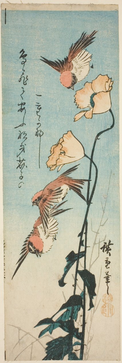 Spatzen und Mohnblumen von Utagawa Hiroshige