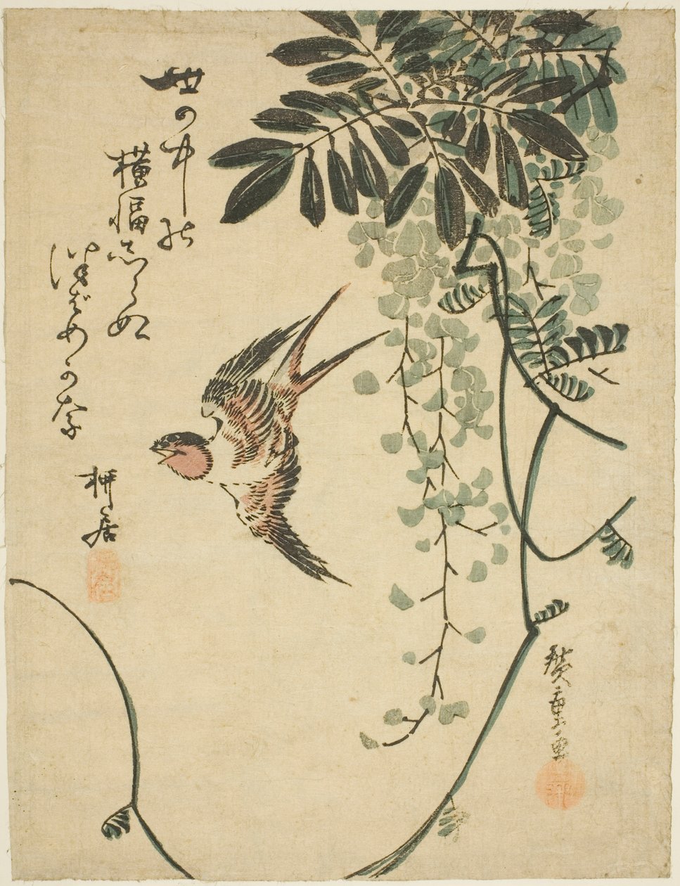 Schwalbe und Glyzinie von Utagawa Hiroshige