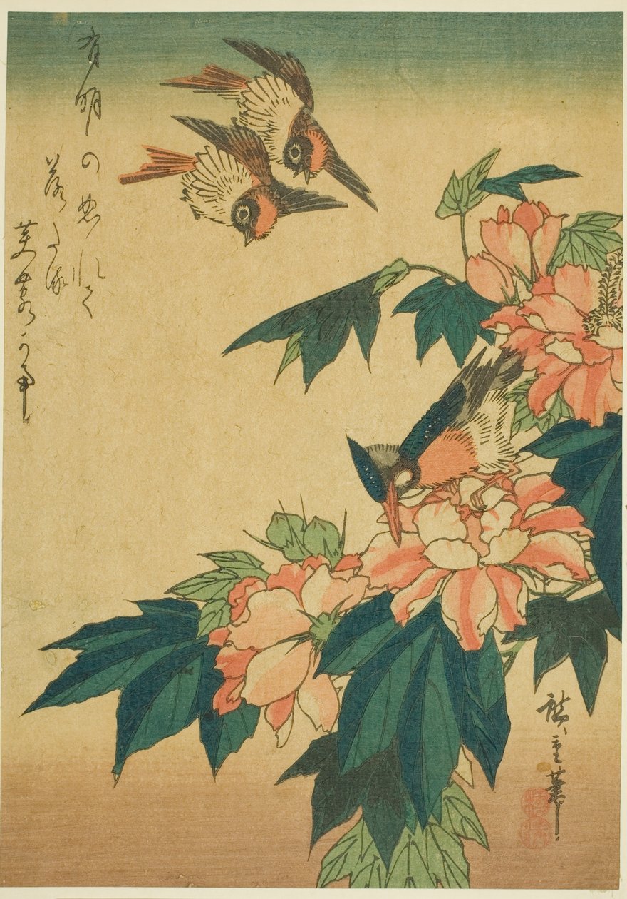 Schwalben, Eisvogel und Hibiskus von Utagawa Hiroshige