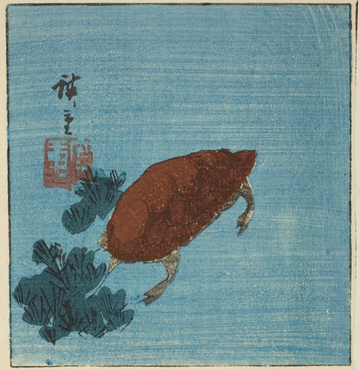 Schildkröte von Utagawa Hiroshige