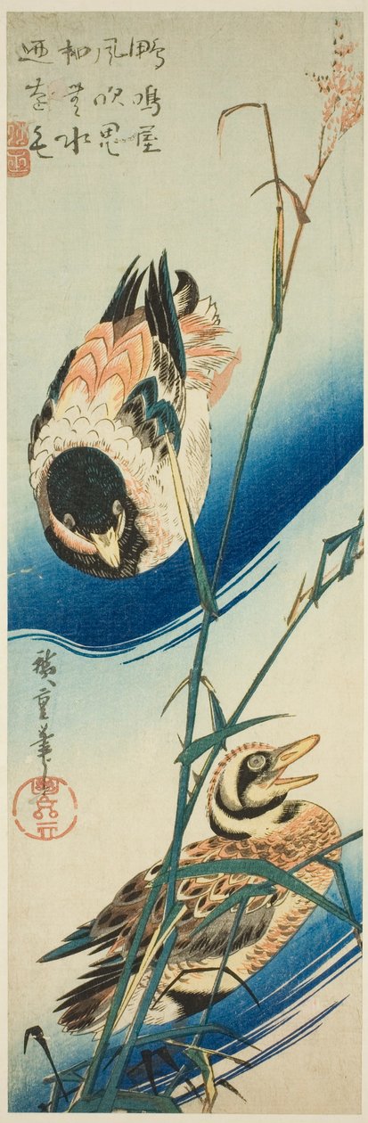 Zwei Enten schwimmen zwischen Schilf von Utagawa Hiroshige