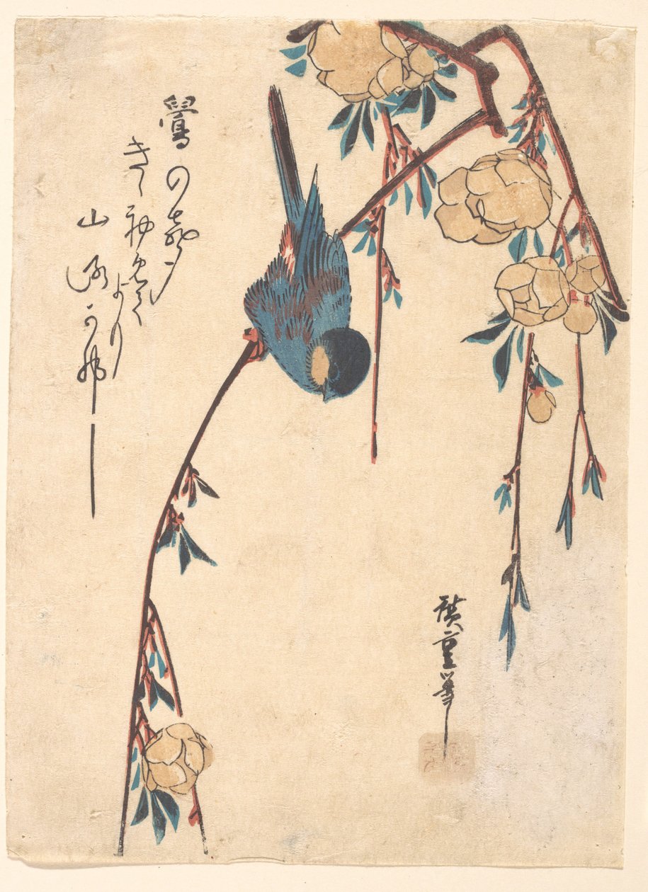 Trauerkirsche von Utagawa Hiroshige