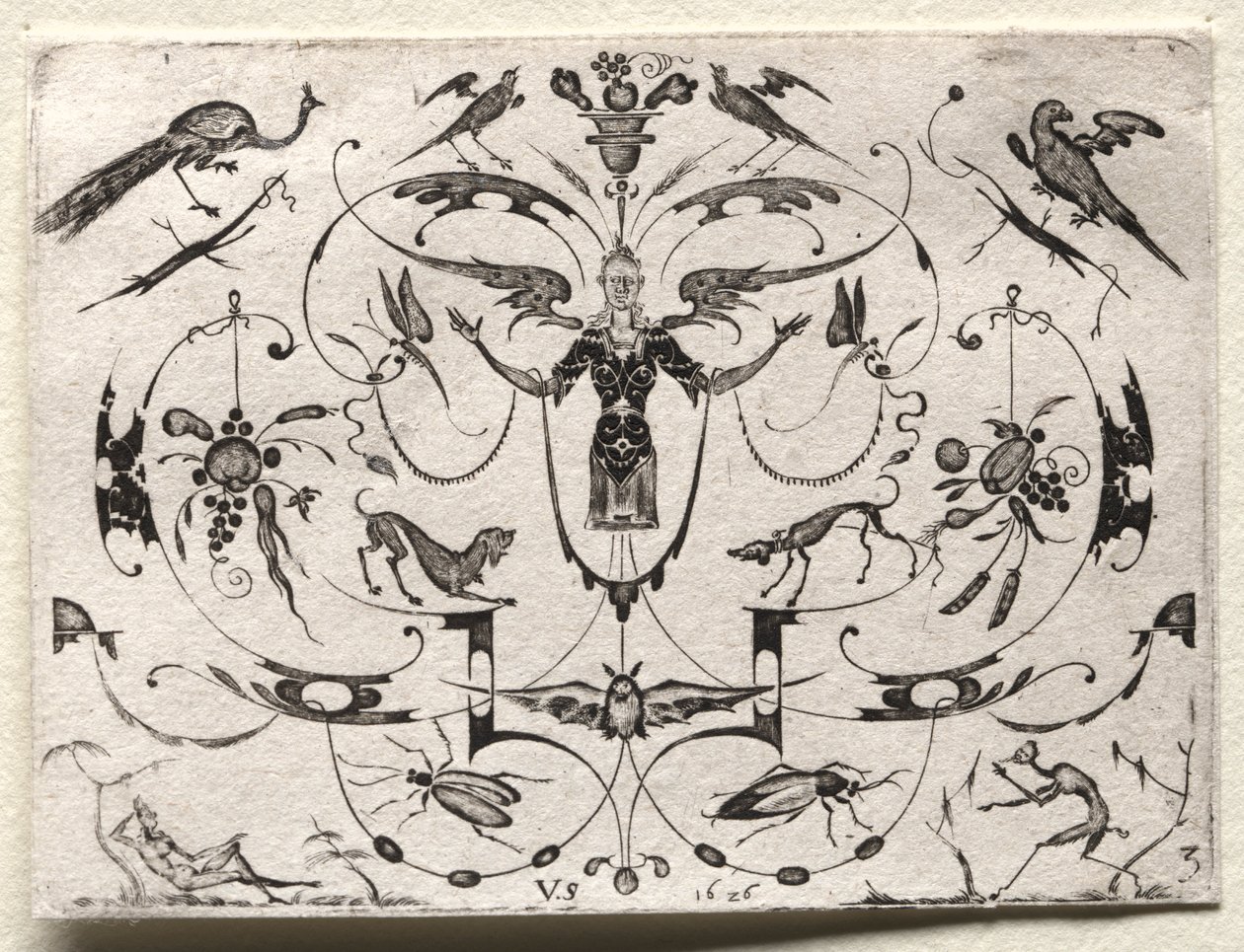Arabeske mit Pfau, Sittich, Hunden und Insekten von Valentin Sezenius