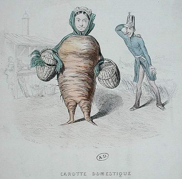 Karikatur eines Dieners als Karotte von Varin Varin