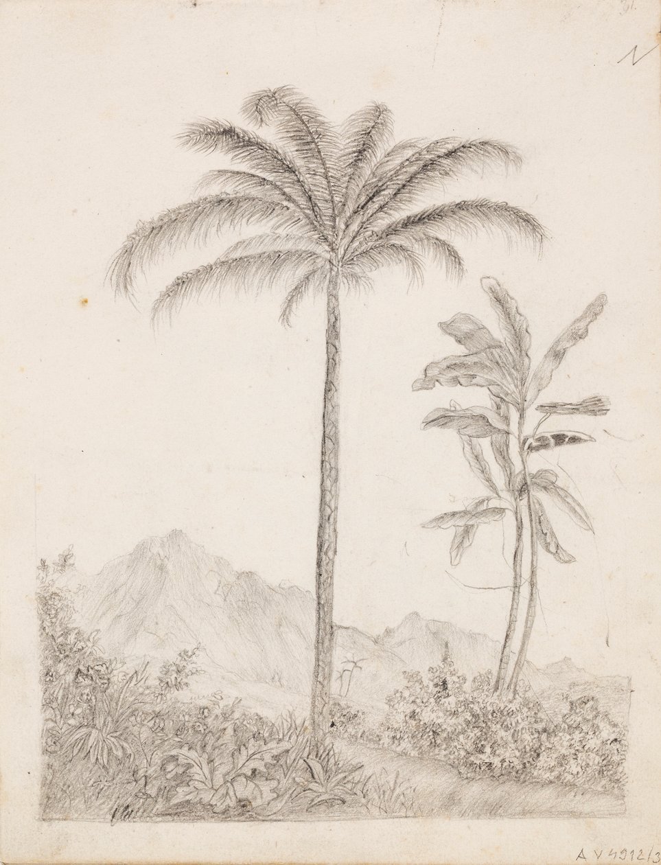 Palmen von Victoria Åberg