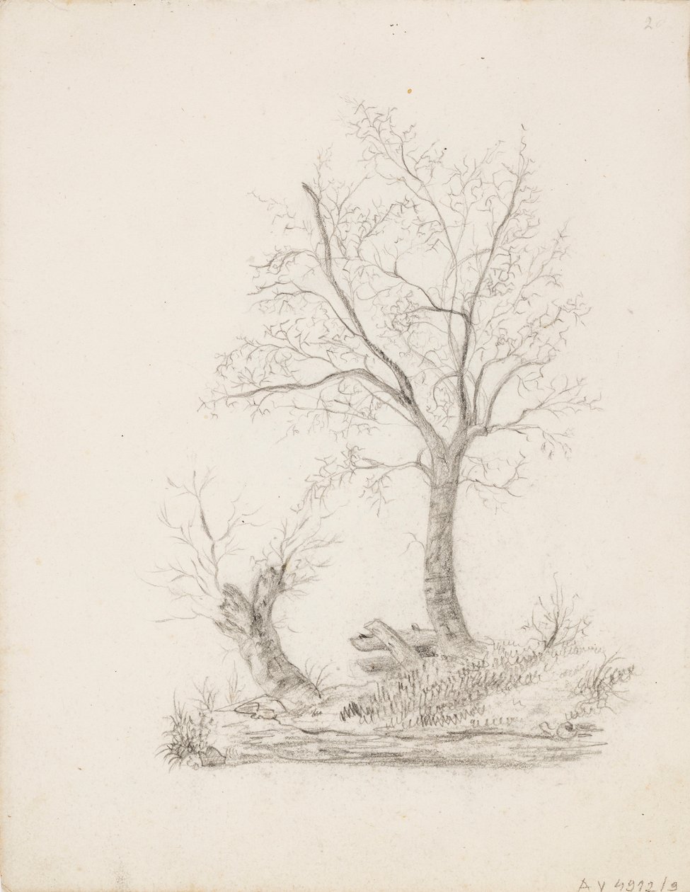 Bäume von Victoria Åberg