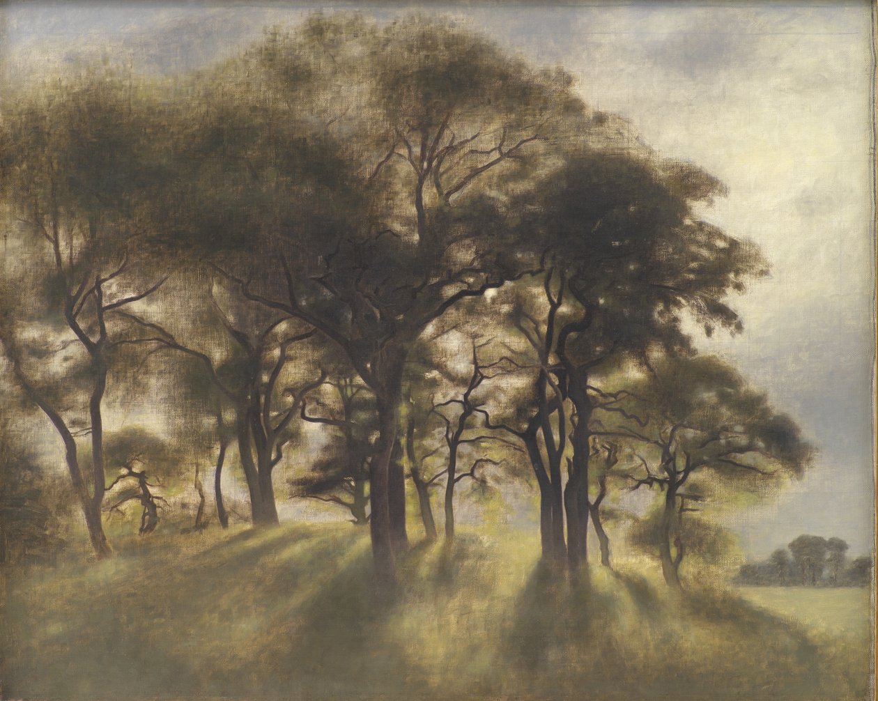 In der Nähe von Fortunen, Jägersborg Hirschpark, nördlich von Kopenhagen von Vilhelm Hammershoi