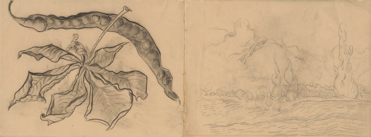 Kastanienblatt mit Schote Landschaft mit Zypressen von Vincent van Gogh