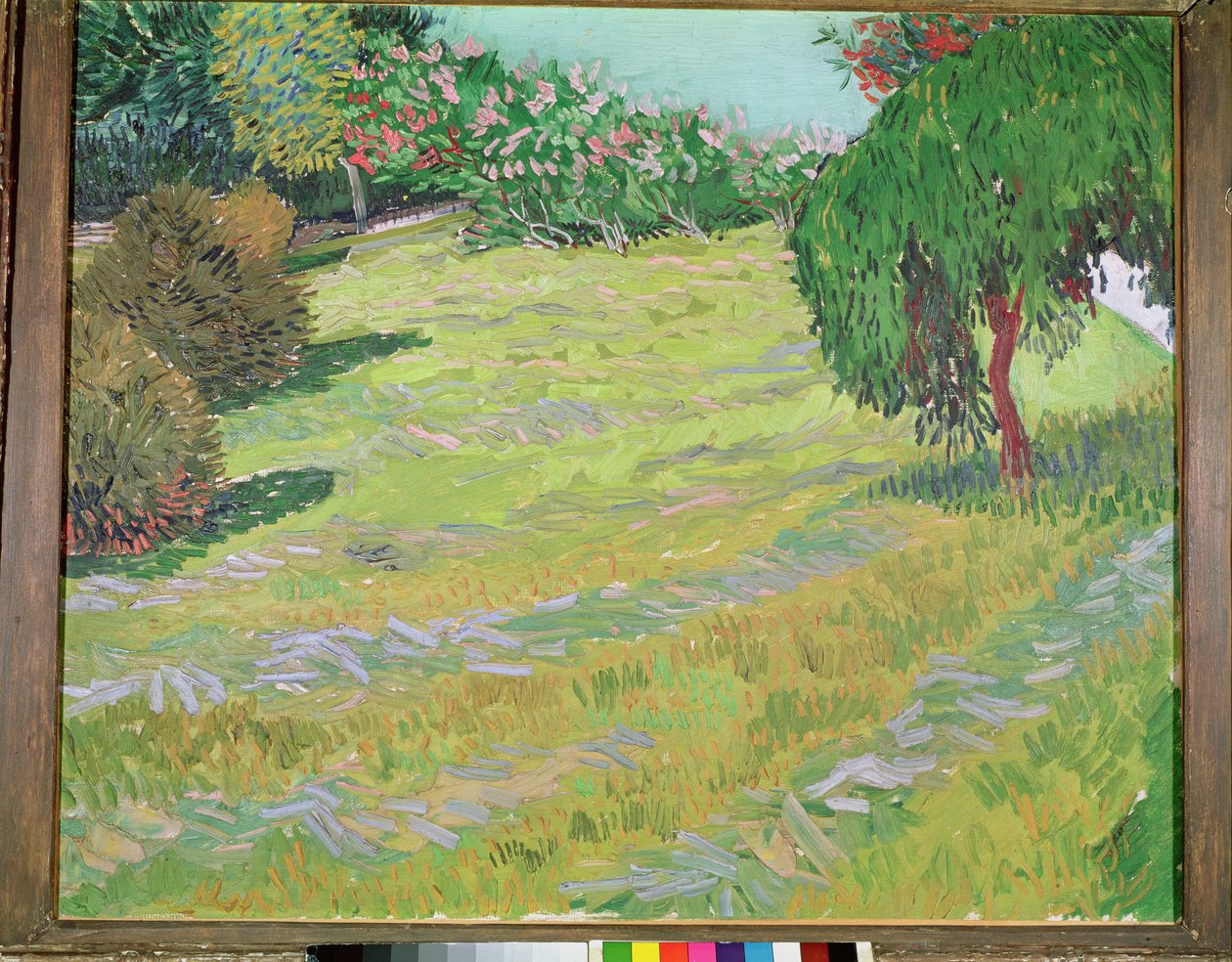 Feld mit Trauerweide, 1888 von Vincent van Gogh