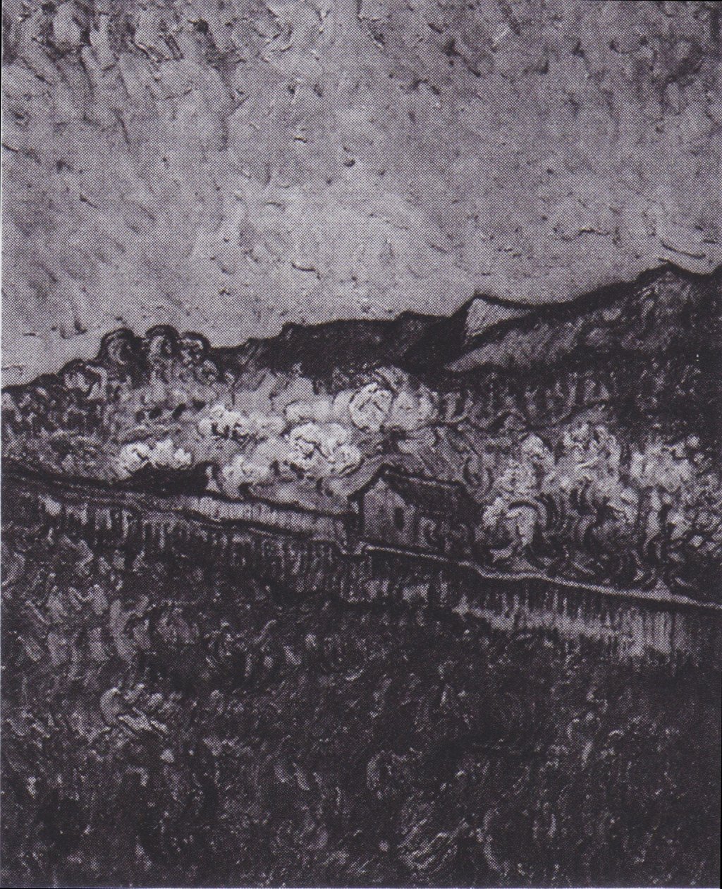 Umfriedetes Feld mit Blick auf eine Berglandschaft von Vincent van Gogh
