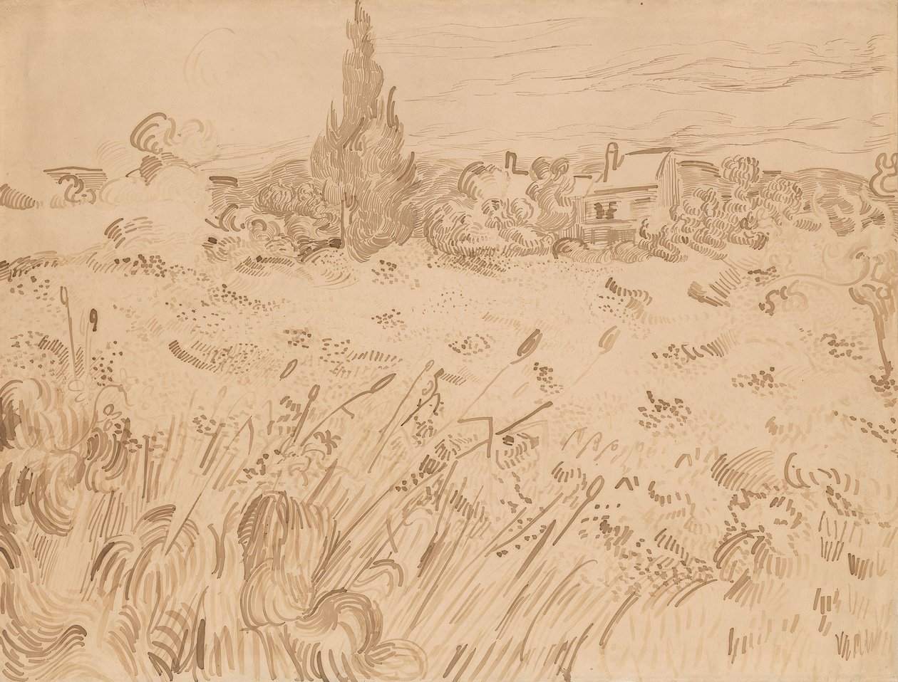 Weizenfeld, Saint-Rémy de Provence von Vincent van Gogh