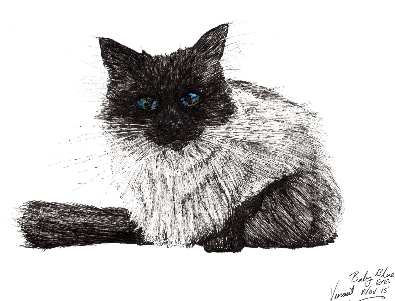 Baby blaue Augen, 2015 von Vincent Alexander Booth