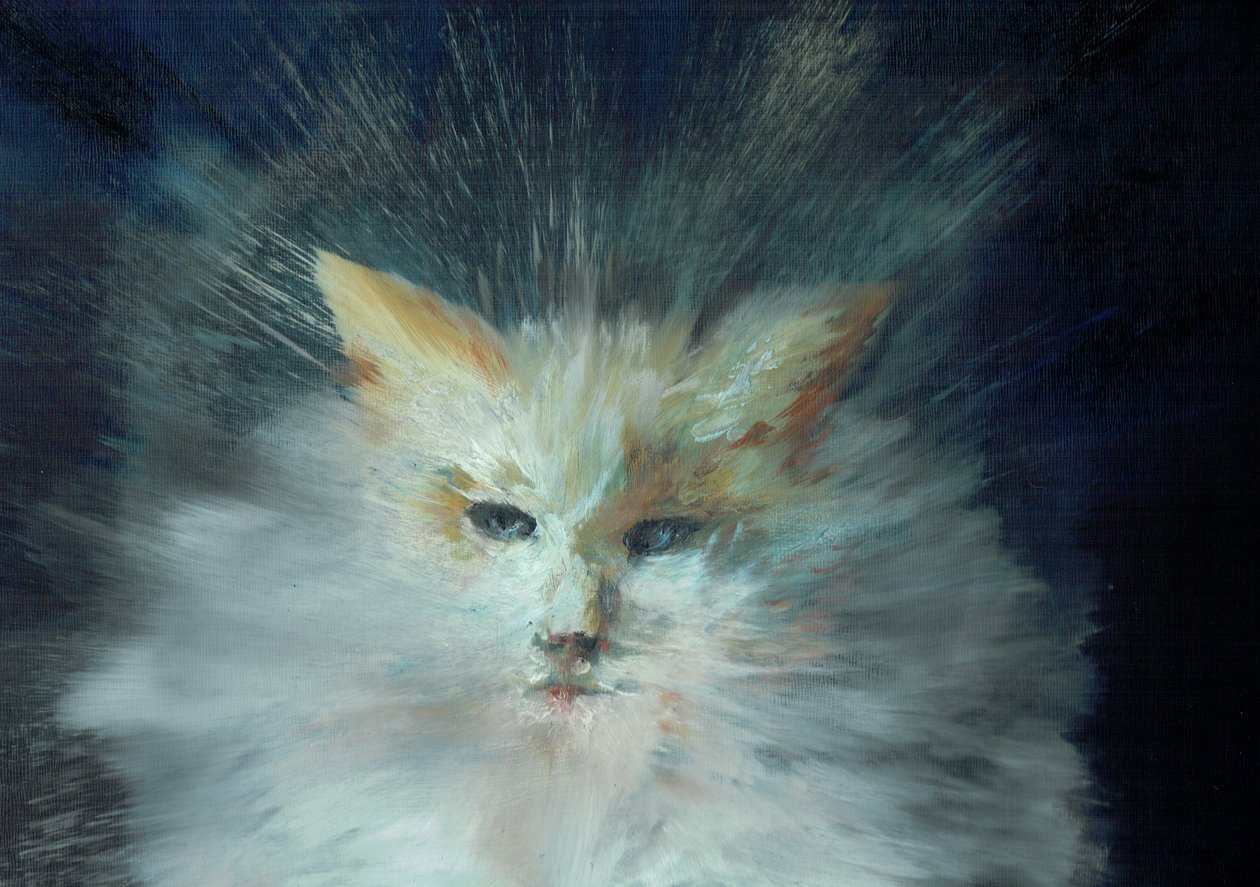 Monty Fluffball, 2015 von Vincent Alexander Booth