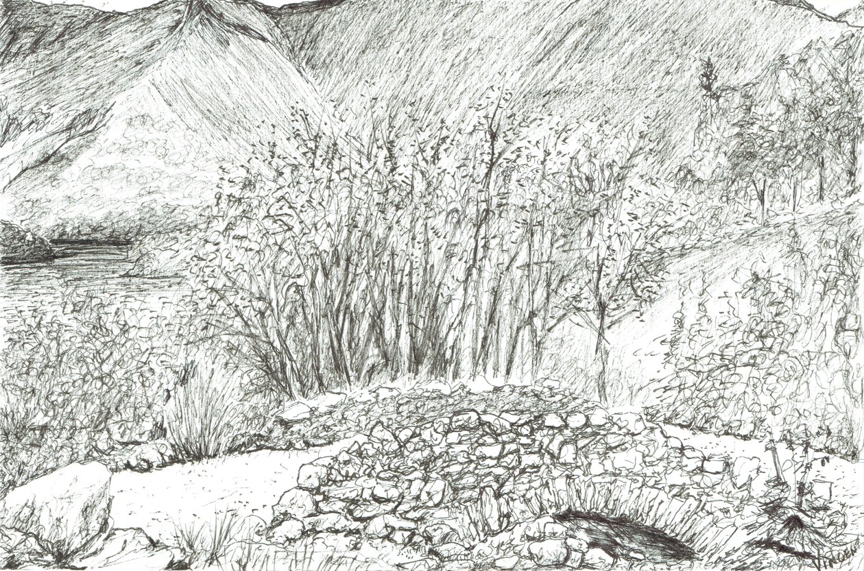 Alte Steinbrücke im Lake District von Vincent Alexander Booth