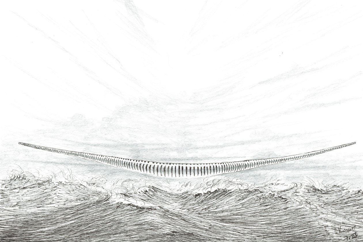 Sturmerschaffer Cape Leveque, 2023 von Vincent Alexander Booth