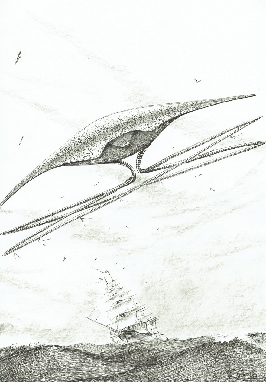 Sturmerschaffer Foxe Basin, 2022 von Vincent Alexander Booth