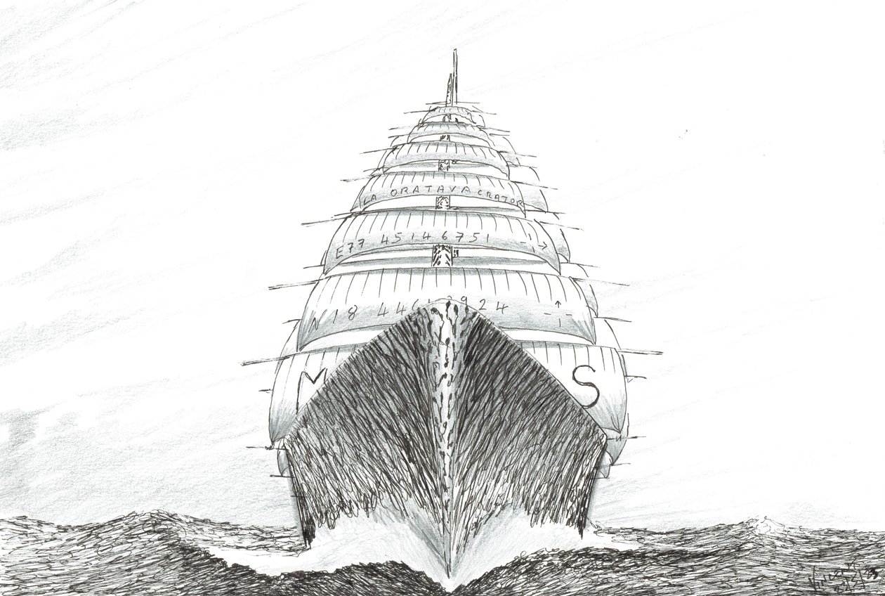 Sturmerschaffer Südwestkap von Vincent Alexander Booth