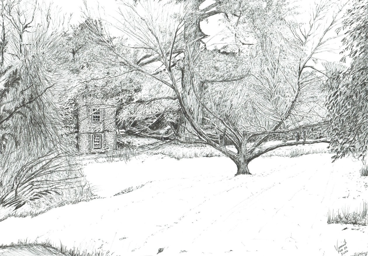 Der Taschentuchbaum in den Gärten von Monk Coniston, 2024 von Vincent Alexander Booth