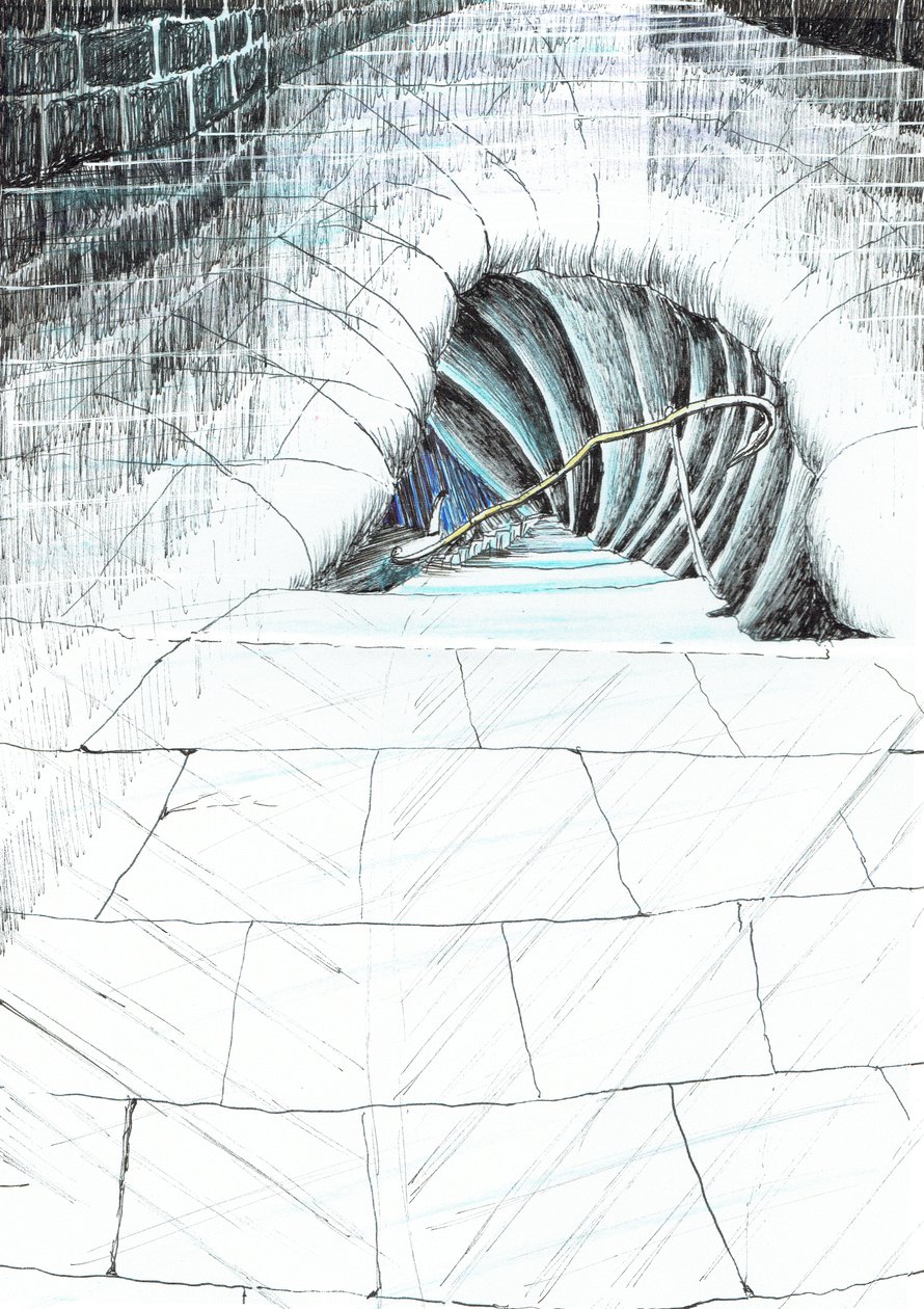 Seite 45, Das Schloss im Wald von Findhorn, 2006 von Vincent Alexander Booth