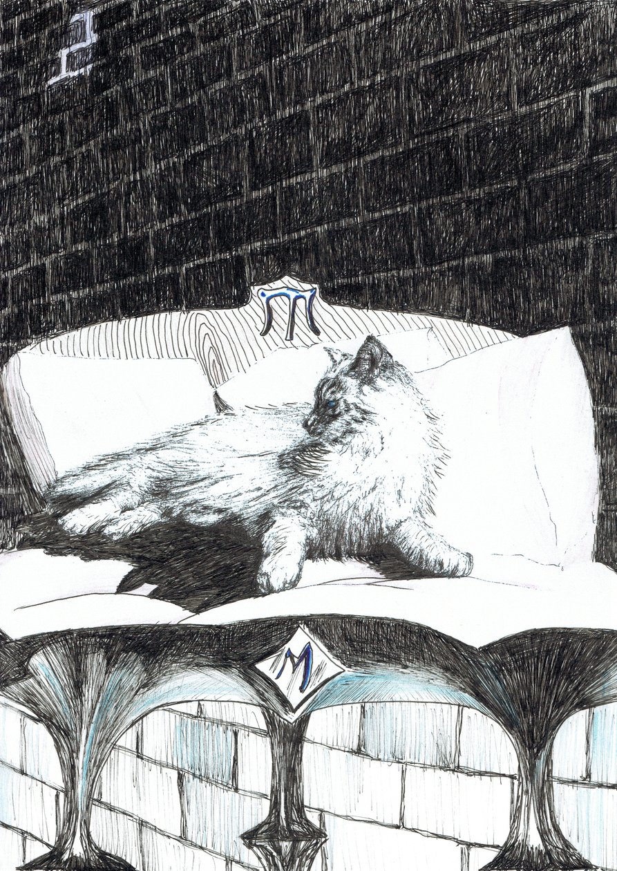 Seite 52, Das Schloss im Wald von Findhorn, 2006 von Vincent Alexander Booth