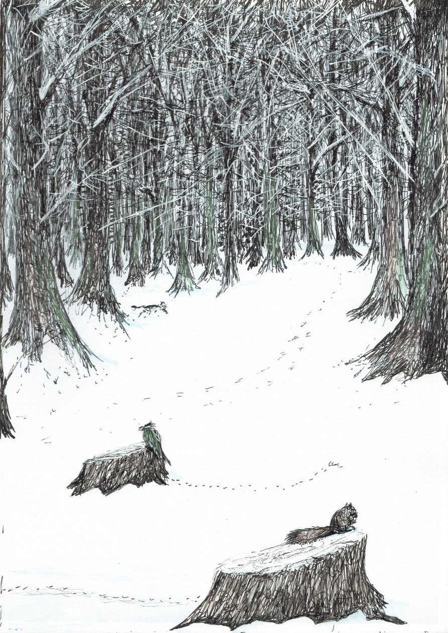Seite 5, Das Schloss im Wald von Findhorn, 2006 von Vincent Alexander Booth