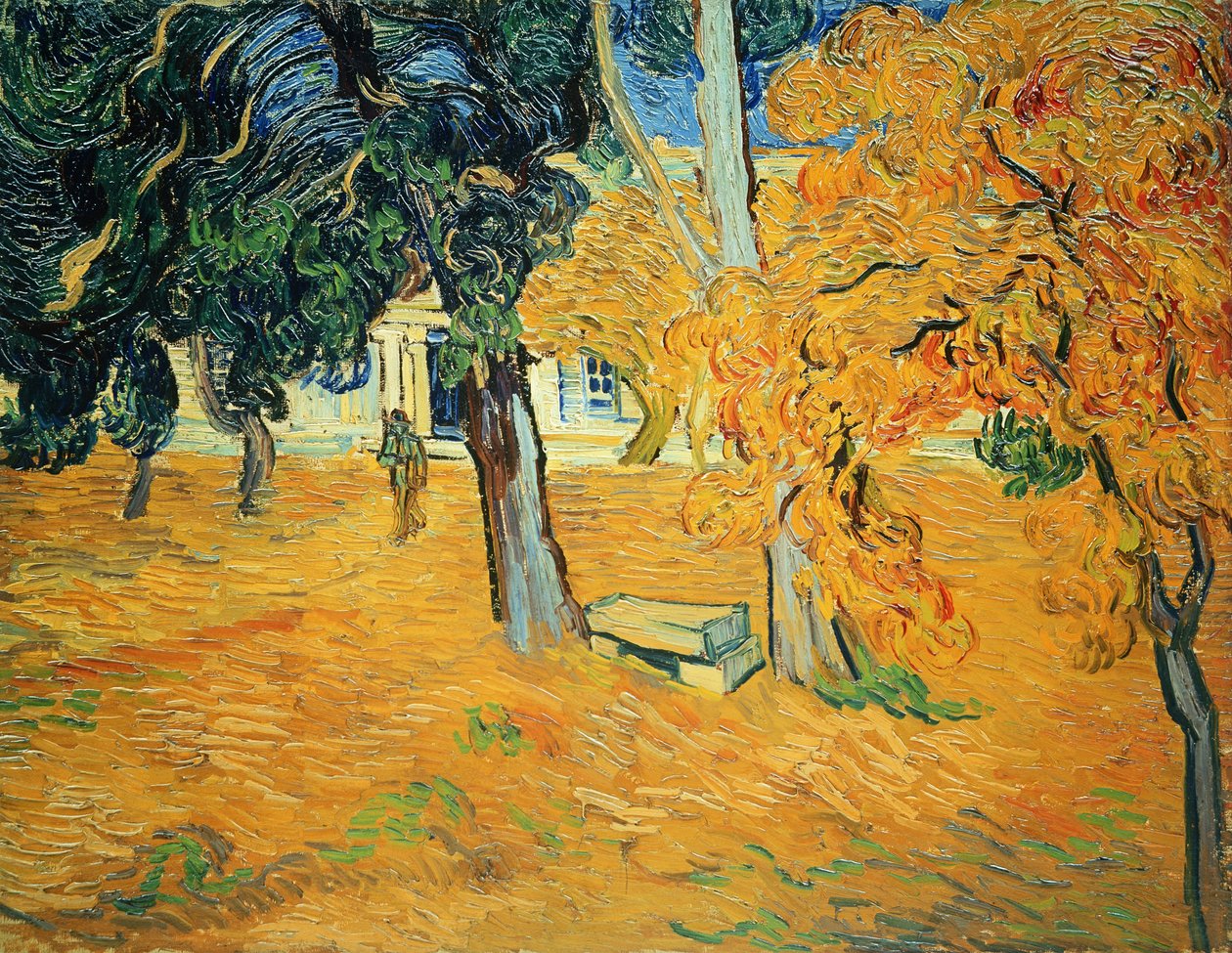 Garten im Saint-Paul-Krankenhaus in Saint-Rémy von Vincent van Gogh