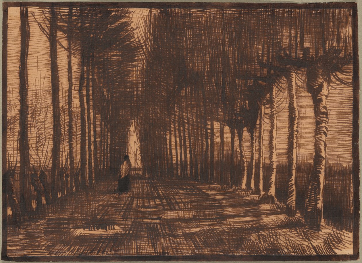 Allee von beschnittenen Birken und Pappeln von Vincent van Gogh