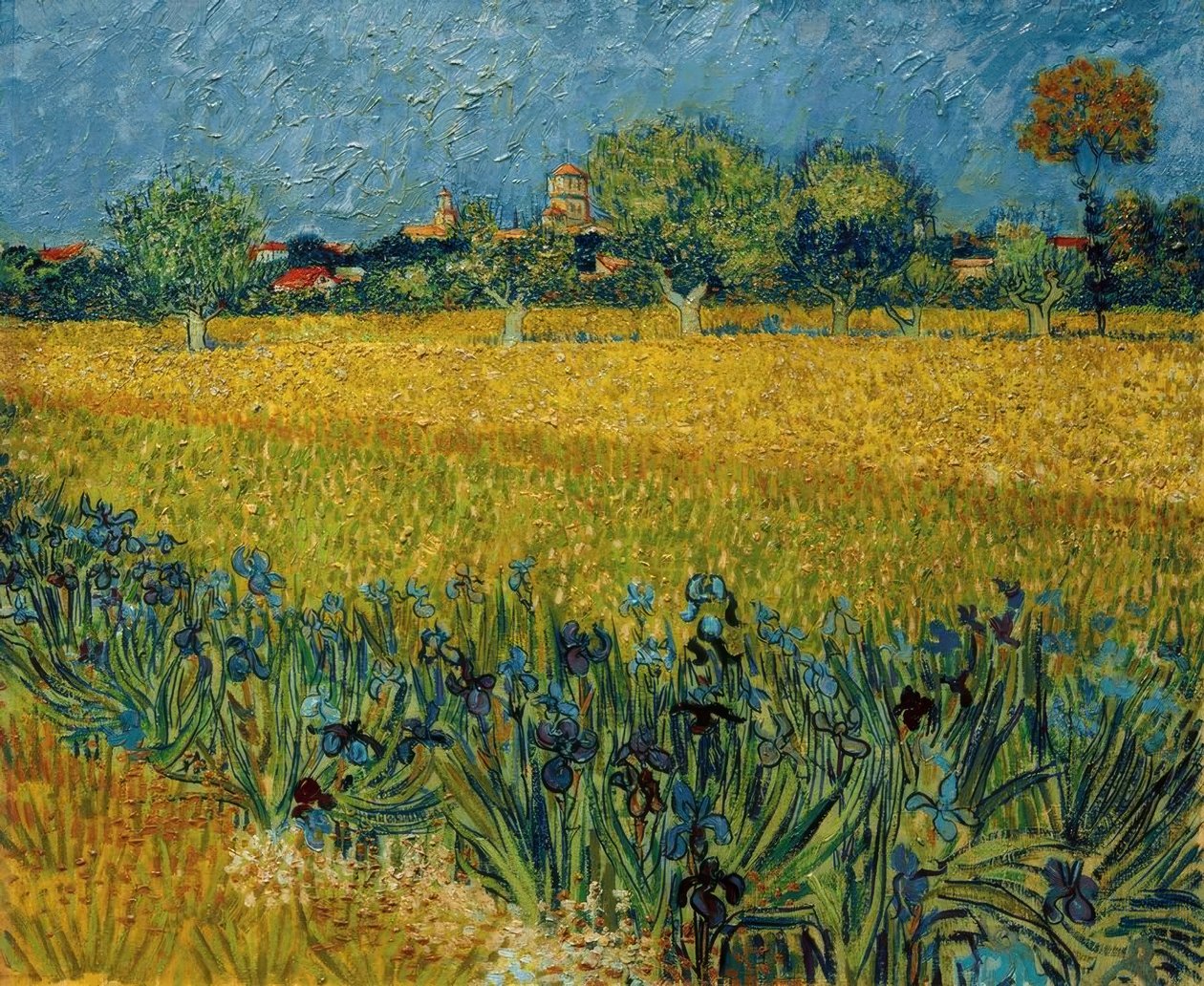 Blick auf Arles mit Irisblüten im Vordergrund von Vincent van Gogh