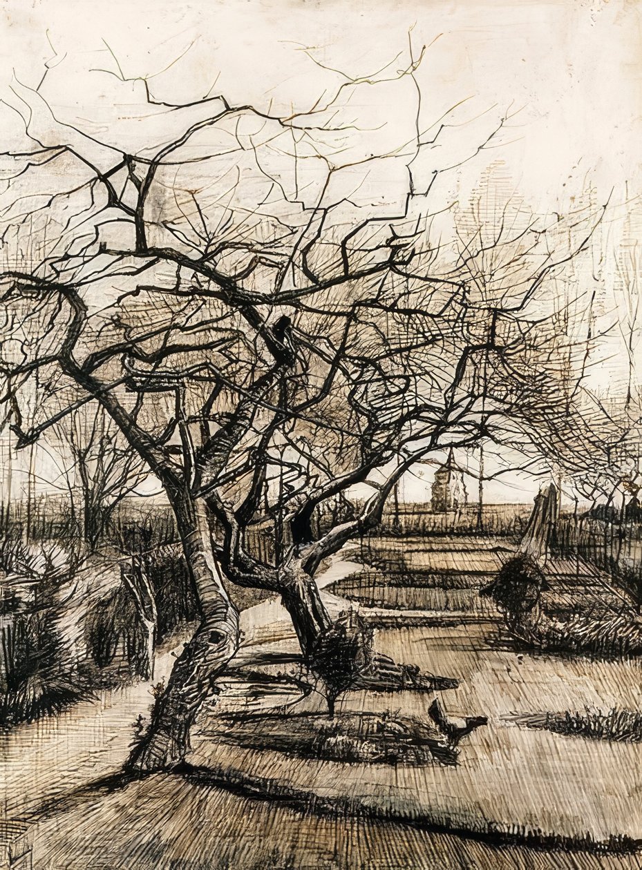 Der Garten des Pfarrhauses in Nuenen von Vincent van Gogh