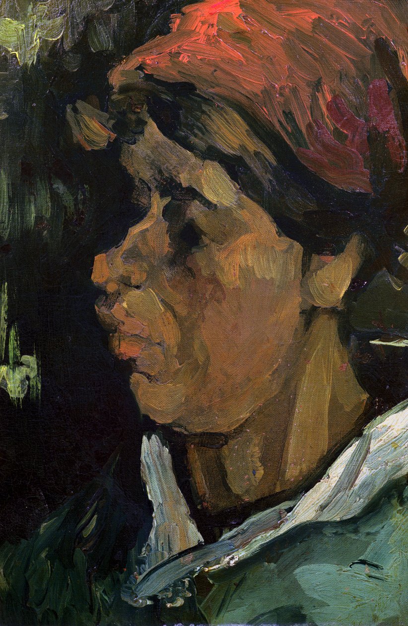 Kopf eines niederländischen Bauern, 1884 von Vincent van Gogh