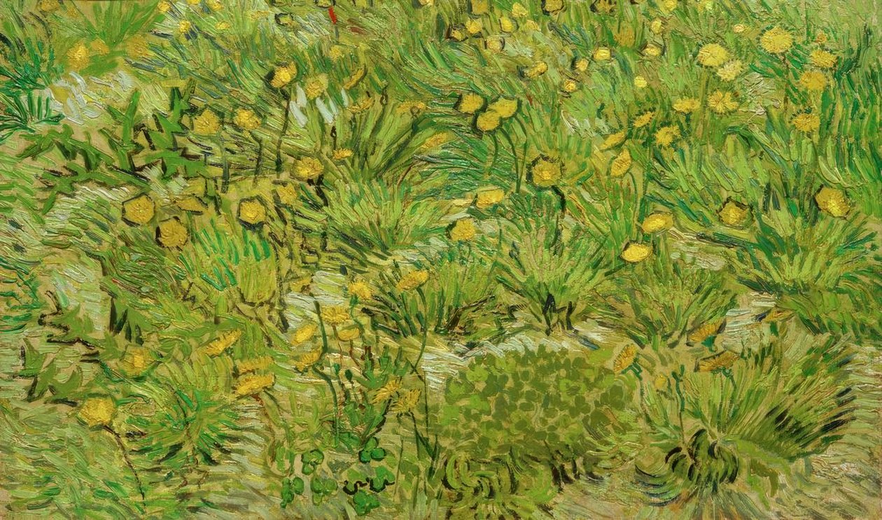 Les pissenlits von Vincent van Gogh